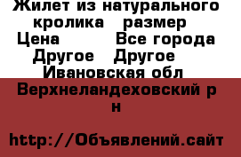 Жилет из натурального кролика,44размер › Цена ­ 500 - Все города Другое » Другое   . Ивановская обл.,Верхнеландеховский р-н